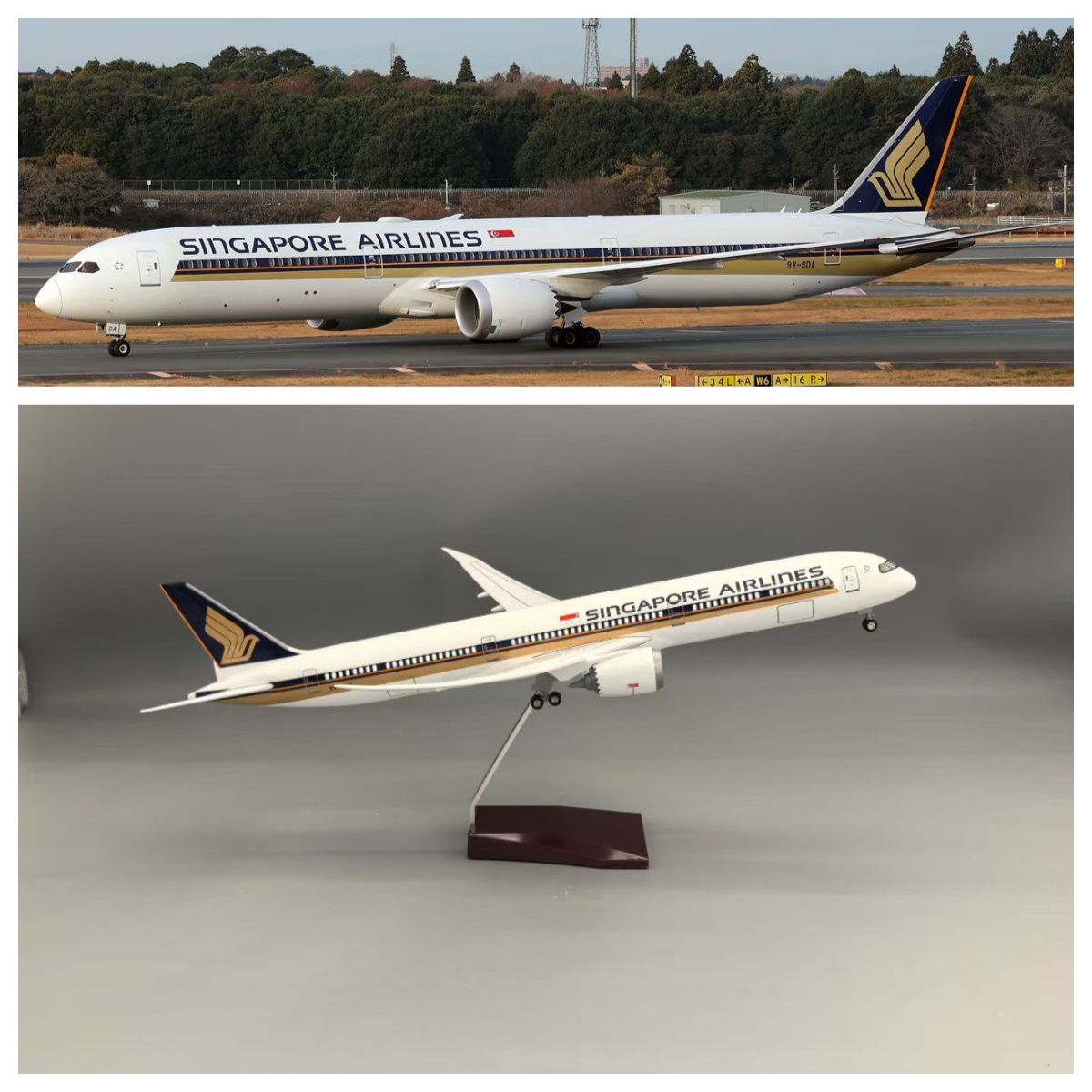 Modèle d'avion en résine Singa - Model Kit Singapore avis et prix