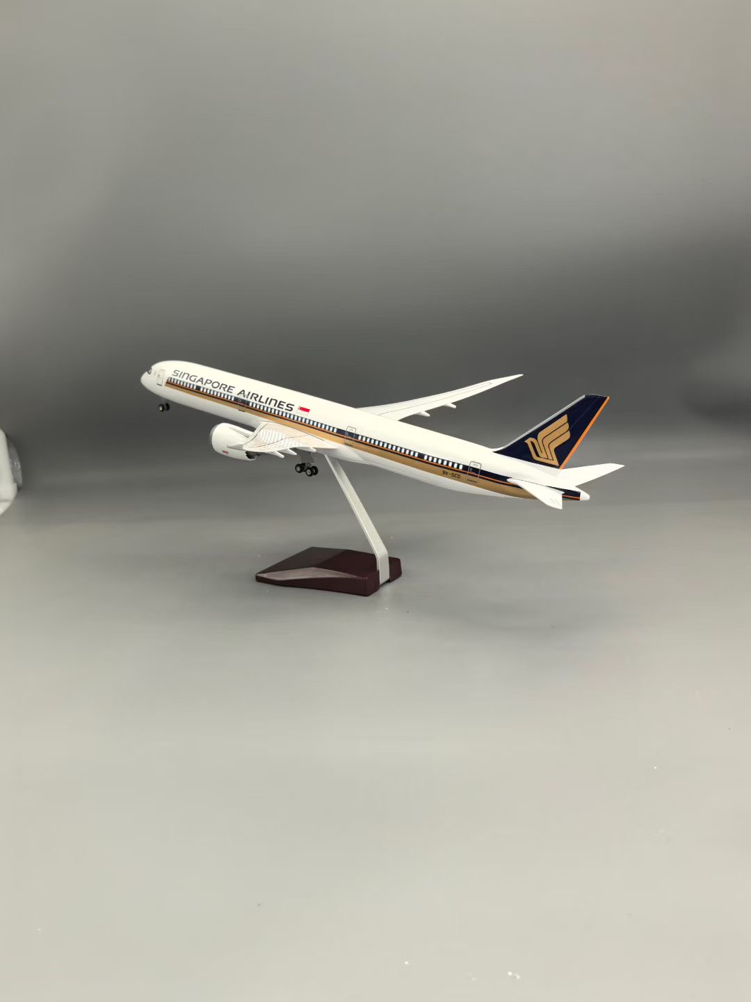 Modèle d'avion en résine Singa - Model Kit Singapore avis et prix