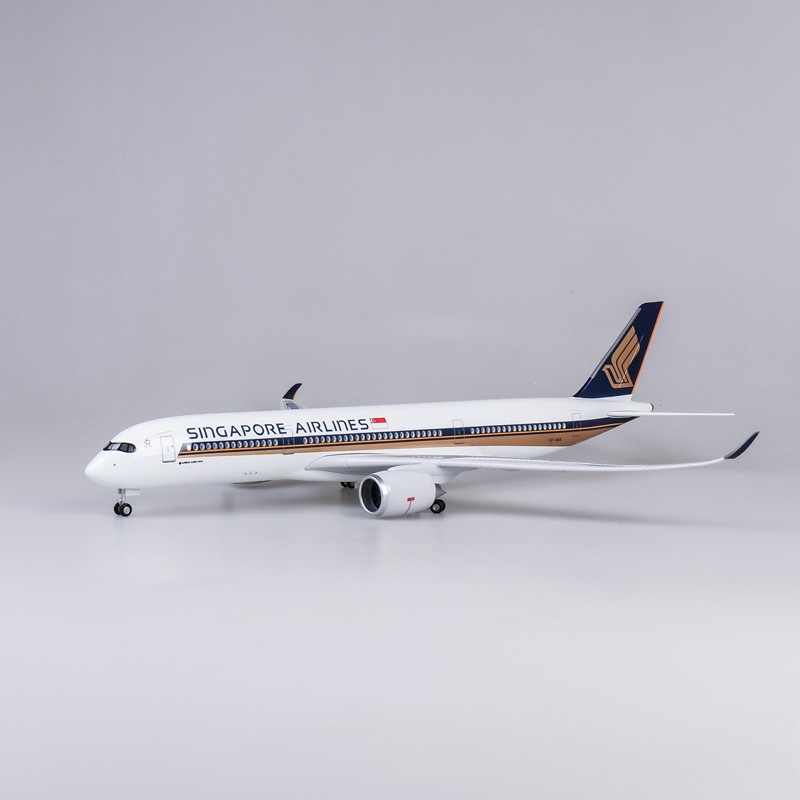 Avion miniature de grande tail - Model Kit Singapore avis et prix