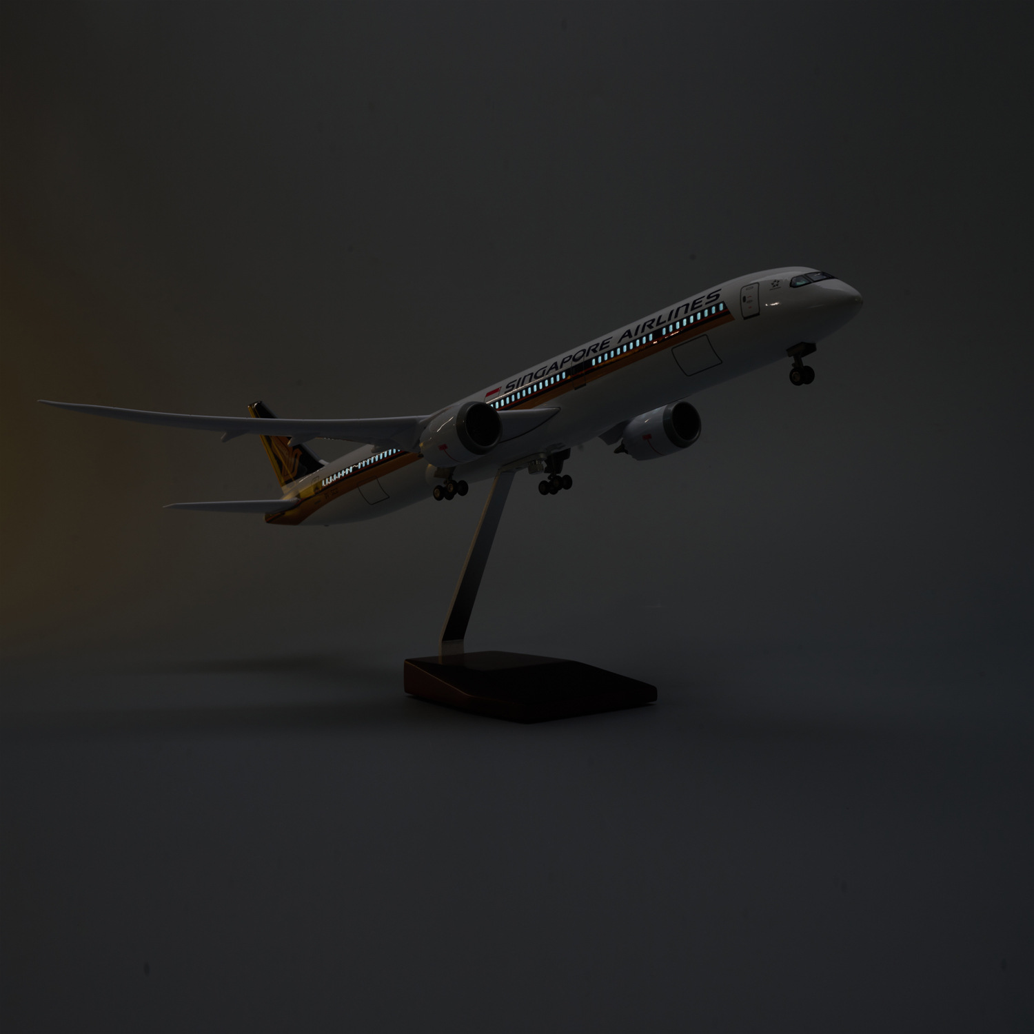 Maquette d'avion en résine mou - Model Kit Singapore avis et prix